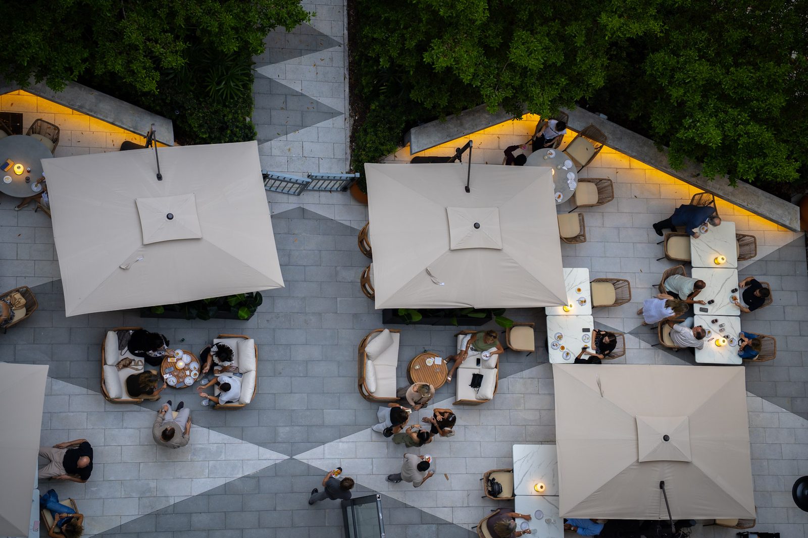The garden from above